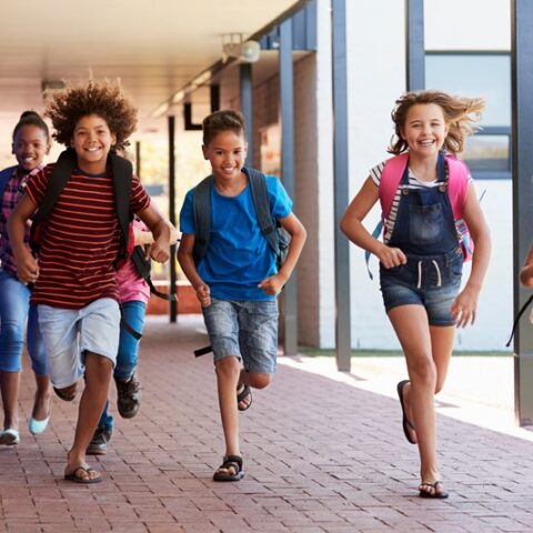 brede school