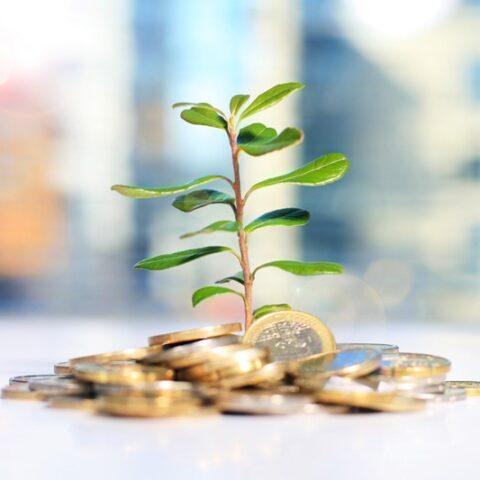 groen beleggen